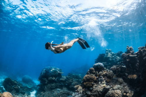 Woman snorkeling over a coral reef on the Great Barrier Reef - Australian Stock Image