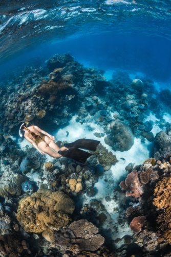 Woman snorkeling over a coral reef on the Great Barrier Reef - Australian Stock Image