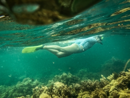 Woman snorkelling over coral - Australian Stock Image
