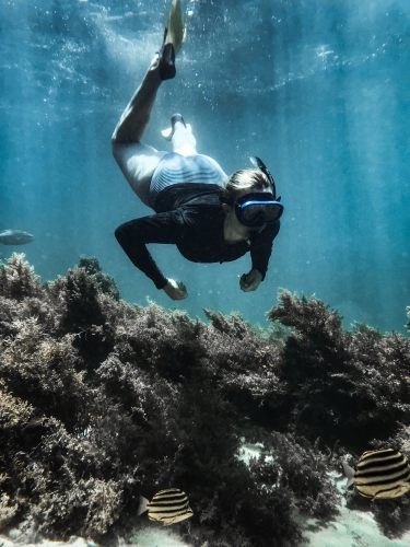 Woman snorkelling underwater in ocean - Australian Stock Image