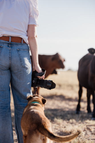 Woman standing beside pet dog holding camera. - Australian Stock Image