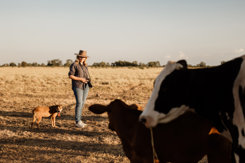 Woman standing in a dusty and dry grassy farm paddock holding a camera - Australian Stock Image