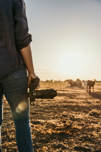 Woman standing in a dusty and dry grassy field holding a camera - Australian Stock Image