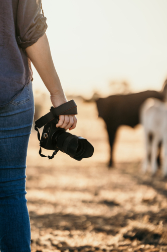 Woman standing in a dusty and dry grassy paddock holding a camera - Australian Stock Image