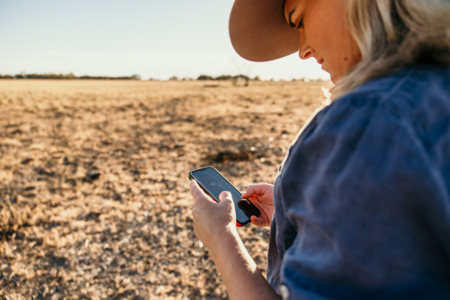 Woman standing looking through her phone in a dry grassy field. - Australian Stock Image