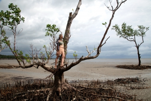 Woman standing on tree branch in outback Australia - Australian Stock Image