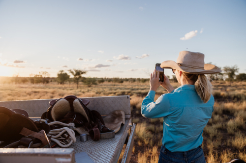 Woman taking pictures using her phone in dry grassy Australian paddock - Australian Stock Image