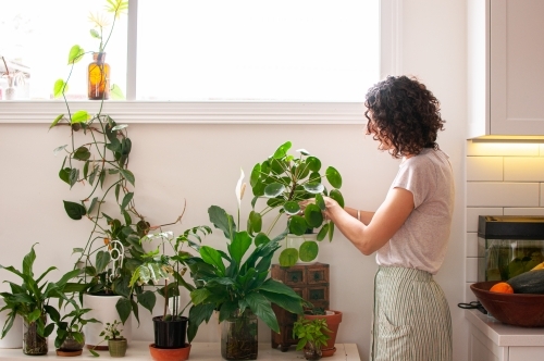 Woman tending to indoor plants