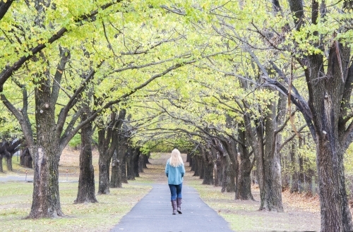 Woman walking away surrounded by autumn trees - Australian Stock Image