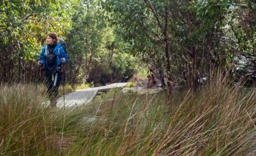 Woman walking Kangaroo Island Wilderness Trail with hiking poles - Australian Stock Image