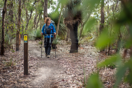 Woman walking on trail alone through bushland with hiking poles - Australian Stock Image