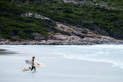 Woman walking out to surf holding surfboard with dog following her - Australian Stock Image