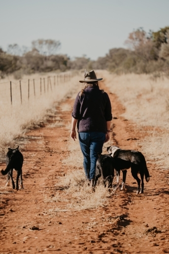 woman walks dogs on red dirt track.