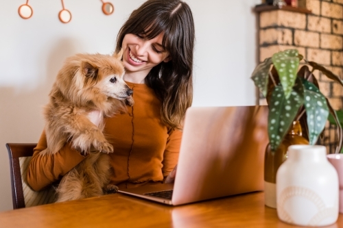 woman working from home, with pet dog - Australian Stock Image