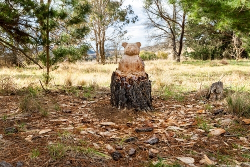 Wood carving of koala into tree stump - Australian Stock Image