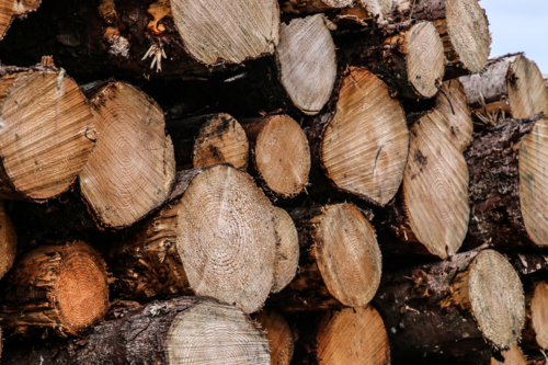 Wood stacked - Australian Stock Image