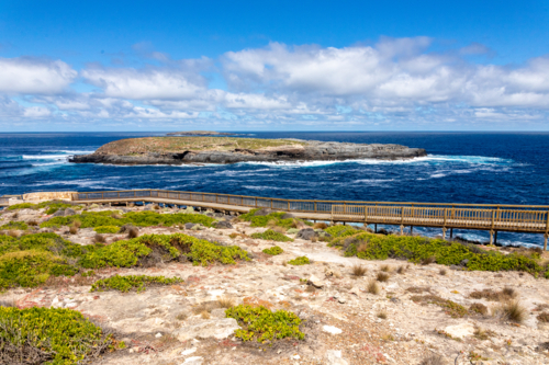 Wooden Boardwalk and Coastal View to Admirals Arch Rocky Island with Crashing Waves, Kangaroo Island - Australian Stock Image