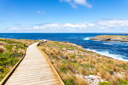 Wooden Boardwalk Leading Along the Coast Towards Admirals Arch, Kangaroo Island - Australian Stock Image