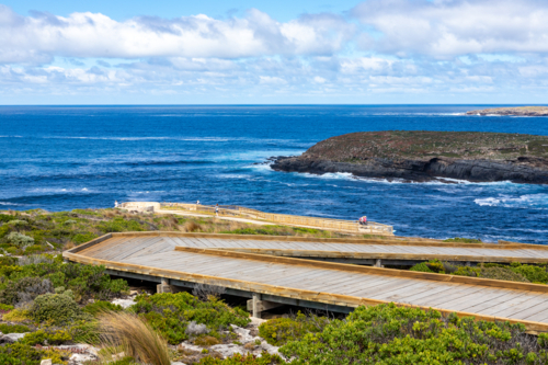 Wooden Boardwalks and Viewing Platforms at Admirals Arch with Rocky Island and Crashing Waves - Australian Stock Image