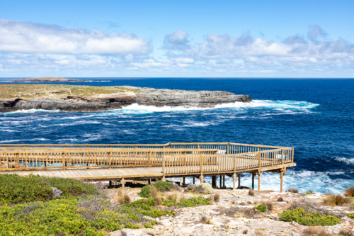 Wooden Viewing Platform at Admirals Arch Overlooking Crashing Waves and Rocky Coastline - Australian Stock Image