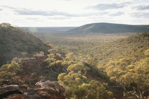 Woodland bush around Helena Aurora Range in outback Western Australia
