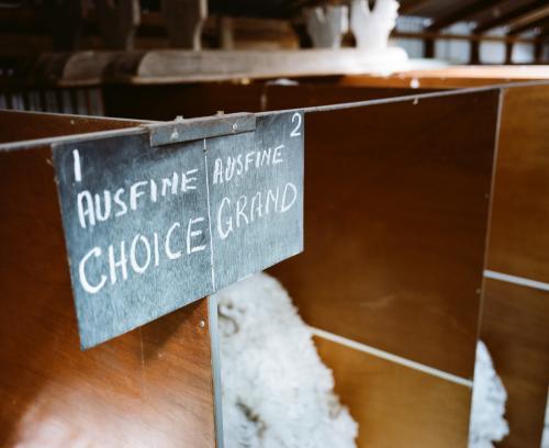 Wool classing detail in a shearing shed - Australian Stock Image