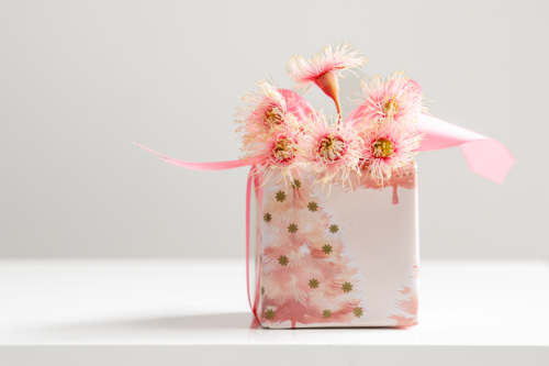 wrapped xmas present with pink Australian theme - Australian Stock Image
