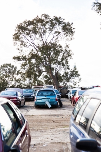 Wrecked and smashed cars parked in car wreckers junkyard - Australian Stock Image