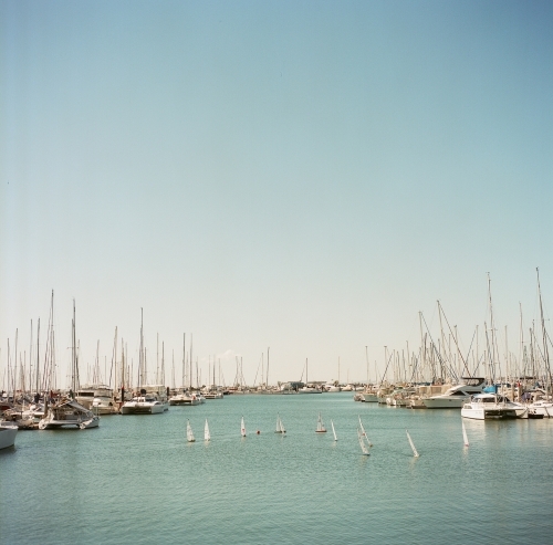 Yachts in the Harbour - Australian Stock Image