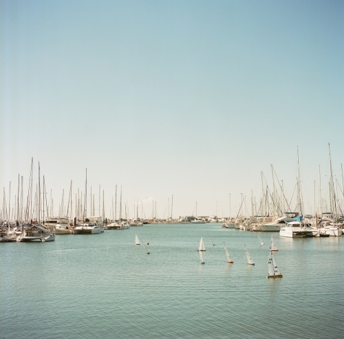 Yachts in the Harbour - Australian Stock Image