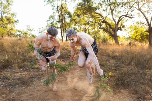 Young aboriginal men dancing with gum leaves and ochre body paint on country wearing lap laps - Australian Stock Image