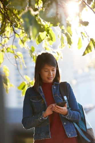 Young Asian female checking mobile phone under tree - Australian Stock Image