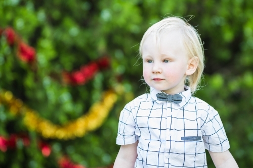 Young blonde caucasian boy with Christmas tinsel on tree - Australian Stock Image