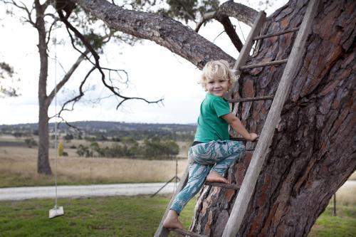 Young boy climbing a wooden ladder up a tree in a country backyard - Australian Stock Image