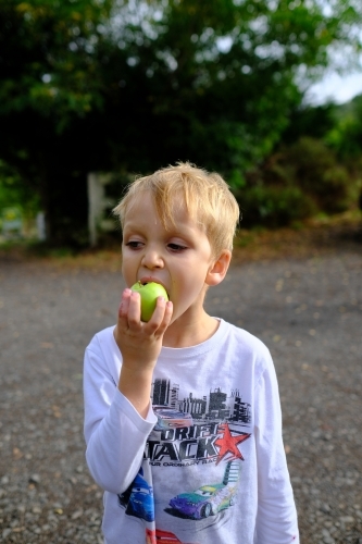Young boy eating an apple at an organic farm - Australian Stock Image