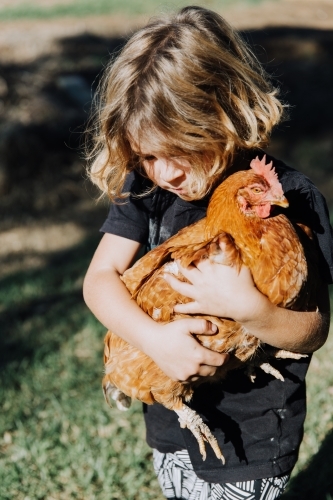 Young boy holding chicken - Australian Stock Image