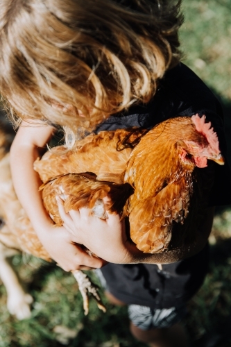 Young boy holding chicken - Australian Stock Image