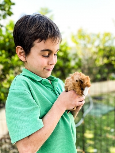 Young boy holding guinea pig affectionately - Australian Stock Image