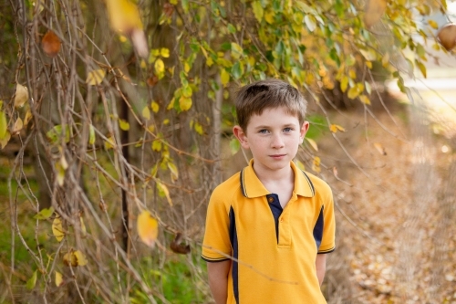 Young boy in school uniform amongst yellow leaves - Australian Stock Image
