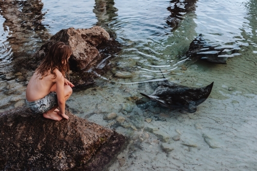 Young boy on rocks looking down at stingrays - Australian Stock Image