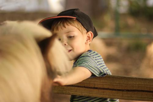 Young boy patting a pony at the local show