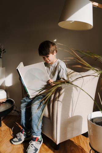 Young boy reading a book on the couch in a sunlit room. - Australian Stock Image