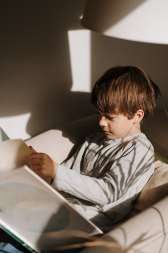 Young boy reading a book on the couch in a sunlit room. - Australian Stock Image