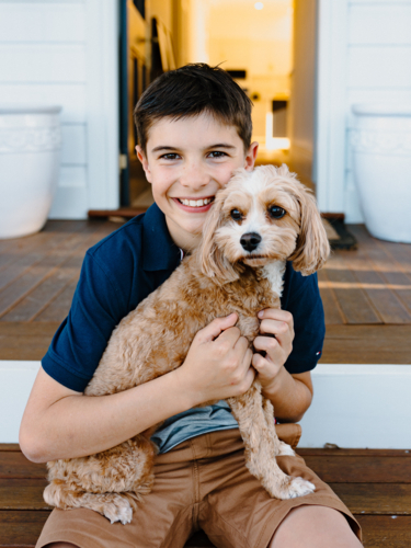 Young boy sitting on a wooden floor holding a light brown dog. - Australian Stock Image