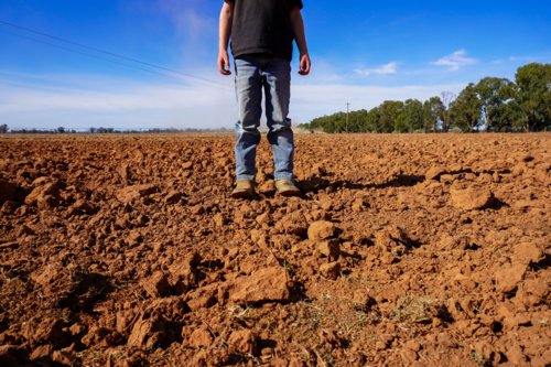 Young boy standing in a freshly harrowed field - Australian Stock Image
