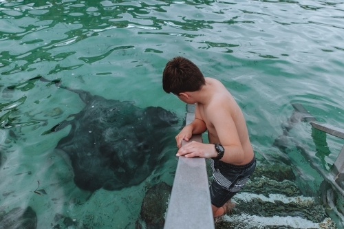 Young boy walking down ocean stairs towards stingray - Australian Stock Image