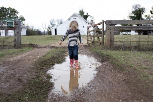 Young boy walking through puddle in gumboots on the farm