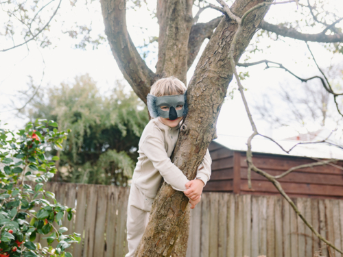 Young boy wearing koala mask hugging tree trunk outdoors - Australian Stock Image