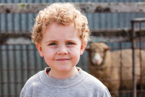 Young boy with curly hair smiling with sheep in background - Australian Stock Image