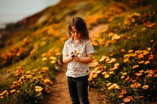 Young boy with long hair standing in a field of flowers - Australian Stock Image